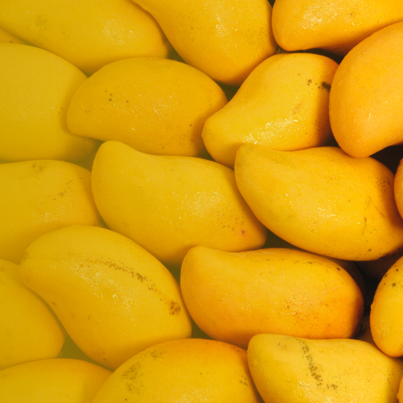 cojo cojo, nước ép trái cây có thạch, nata de coco